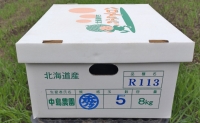 北海道 富良野市 ふらの赤肉 メロン 4～5玉入り 計 約8kg (中島農園)