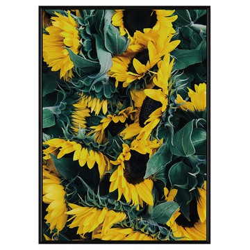 菠蘿選畫所 掛畫 向陽花園 BFEF4614B 59.4 x 42cm  黑色