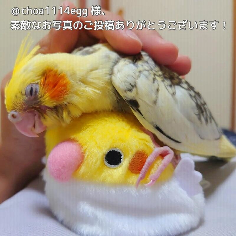 ワンコイン』ニワトリ&ひよこ♡お団子 その他