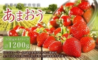 エコファーマー　あまおう（2023年12月～順次発送）300ｇ×4パック