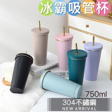 【菓拉小舖】💓台灣現貨 304不鏽鋼吸管杯 冰壩杯 不鏽鋼冰霸杯 吸管杯 保溫杯 保冰杯 隨手杯 大容量 750ml