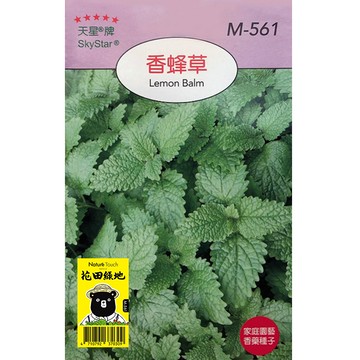花田綠地種子-香蜂草