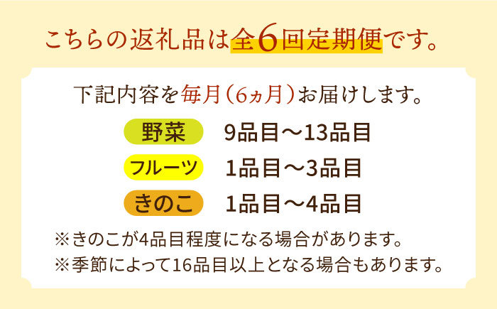 豪華！野菜 セット 15品目以上 6回 定期便 フルーツ キノコ 詰め合わせ   南島原市   吉岡青果 [SCZ002]