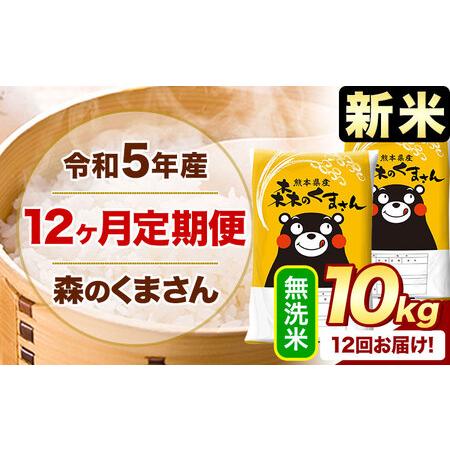 ふるさと納税 新米 令和5年産 森のくまさん  無洗米 《お申込み月の翌月から出荷開始》 10kg (5kg×2袋)  計12回お届け 熊.. 熊本県御船町