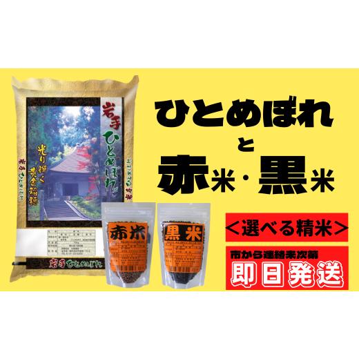 ふるさと納税 岩手県 一関市 一関市産ひとめぼれ10kg ・古代米セット