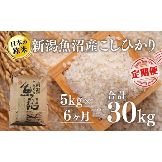 ふるさと納税 新潟県 十日町市 新潟魚沼産こしひかり（精米）5kg