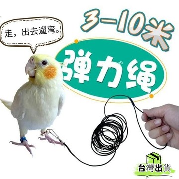 🔥臺灣貨🔥鸚鵡鳥用超輕放飛繩牽引延長繩虎皮牡丹玄鳳小太陽和尚遛鳥繩新款 TSXZHOXLP