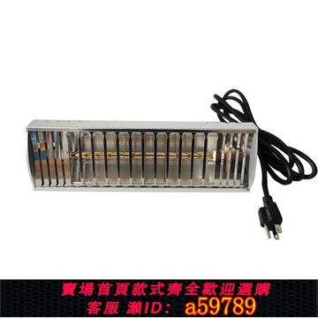 【廠家直銷 可打統編】汽車貼膜烤燈太陽膜測試烤燈隔熱膜噴漆紅外線手持烤漆燈1000W