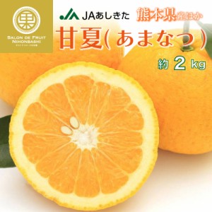 [予約 1月1日-1月31日の納品]  甘夏 あまなつ 甘夏みかん 夏みかん 3L-Lサイズ 約2kg 柑橘 熊本 熊本県産ほか あまなつ  ギフト 贈答用