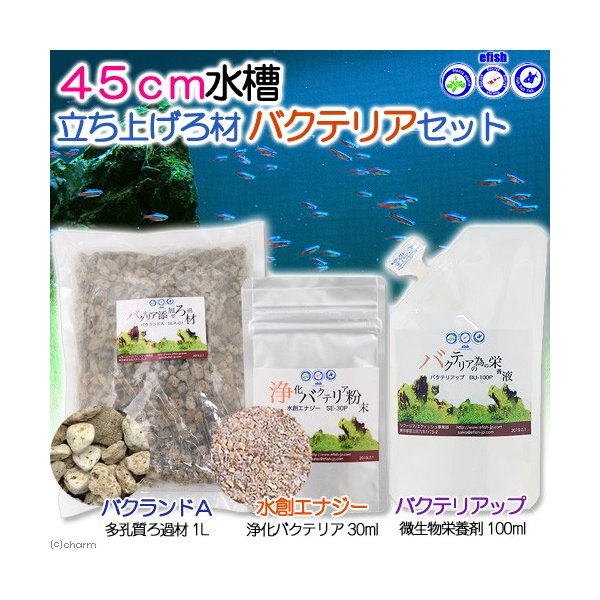 エフィッシュ ４５ｃｍ水槽立ち上げ ろ材バクテリアセット 熱帯魚 ビーシュリンプ 通販 Lineポイント最大0 5 Get Lineショッピング