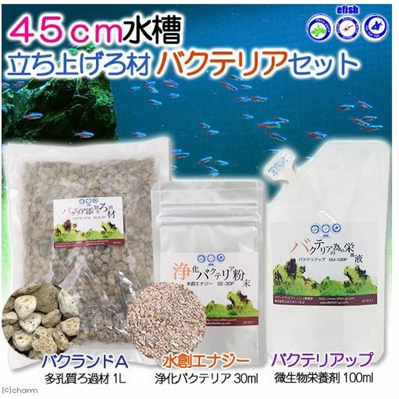 エフィッシュ ４５ｃｍ水槽立ち上げ ろ材バクテリアセット 熱帯魚 ビーシュリンプ 通販 Lineポイント最大0 5 Get Lineショッピング