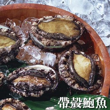 【限時買1送1】☆冷凍鮑魚☆28顆裝  過年送禮 火鍋 燒烤【陸霸王】