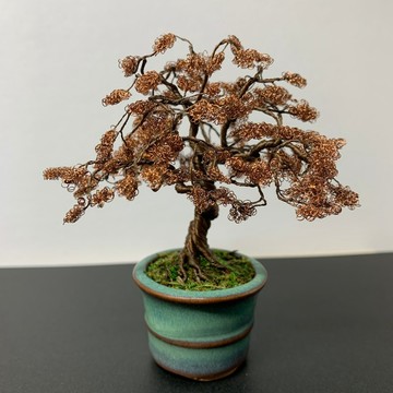帶葉直莖鐵絲盆景