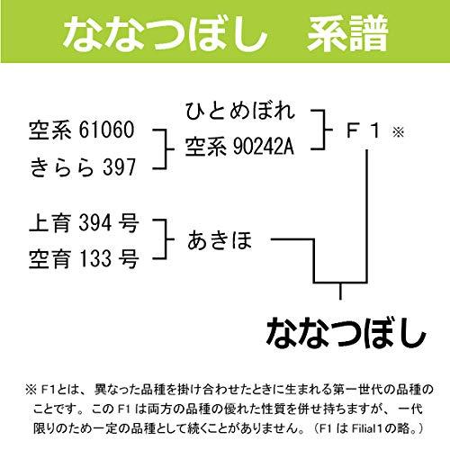 北海道産 ななつぼし 極 白米 10kg (5kg×2) 令和5年産 北海道米 特A産地限定