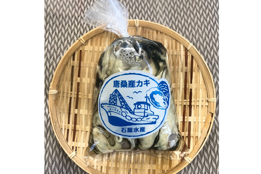 生食可 牡蠣 むき身 500g 約20粒 [FishMarket38 宮城県 気仙沼市 20562558] かき むきみ 剥き身 産地直送 季節限定 海鮮