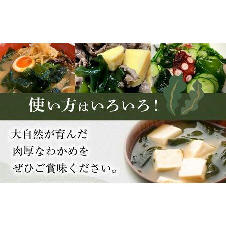 ふるさと納税 鳴門カットわかめ里浦産10g×37 徳島県徳島市