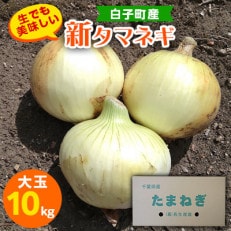 メディアでも話題!生でも美味しい白子町産新タマネギ10kg(大玉)