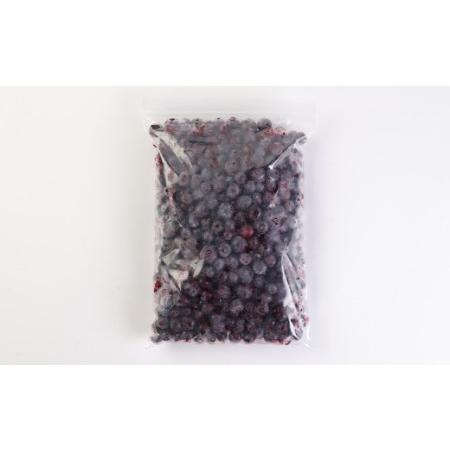 ふるさと納税 九重町産 冷凍 ブルーベリー 1kg (1kg ×1袋)  農薬不使用 果物 大分県九重町