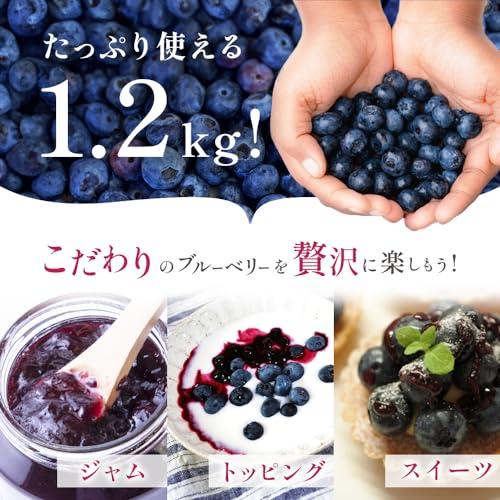 栽培期間中 農薬・化学肥料不使用 冷凍ブルーベリー 1.2kg ブルーベリー 冷凍 大粒 ブルーベリー観光農園ワダ お取り寄せ グルメ ご当地 ご当地