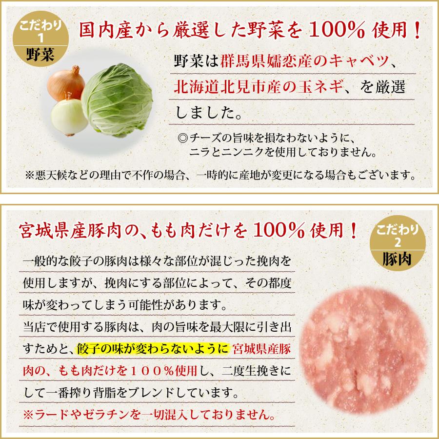 (とろーりチーズ生餃子１０個入り)  ２人前 冷凍餃子  生餃子 餃子 ぎょうざ ギョーザ ギョウザ 冷凍生餃子 お取り寄せ セット 冷凍食品 グルメ