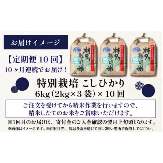 ふるさと納税 福井県 大野市 ベストファーマー ほたるの里 特別栽培こしひかり 6kg（2kg×3）× 10回 計60kg 化学肥料不使…