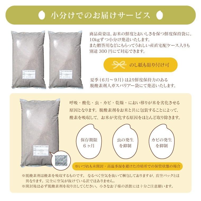 新米入り 米 お米 10kg ふく姫  玄米 ブレンド米 セール 訳あり 無洗米 送料無料 中粒米