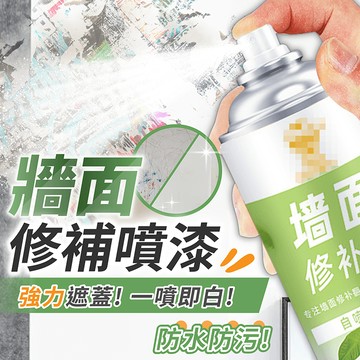 牆面修補噴漆 【178小舖】 塗鴉修補噴漆 牆面修補膏 補牆漆 牆壁清潔 牆面翻新 大掃除 壁癌噴漆 牆面修補漆 牆壁