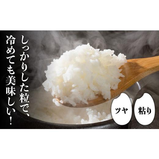 ふるさと納税 福岡県 那珂川市 福岡産ブランド米・元気つくし5kg×2袋＜南国フルーツ株式会社＞那珂川市 [GCD034]