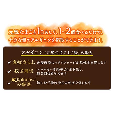 ふるさと納税  アルギニン 元気たまご 20個 自然栽培 平飼い 卵 20個 たまご 鶏卵 玉子 国産 卵かけご飯 たま.. 長崎県波佐見町