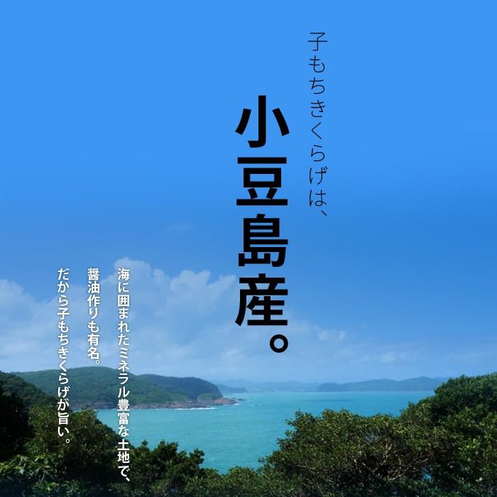 子もきくらげ 1パック（150g） しそ風味 佃煮 ご飯のお供  子持ちキクラゲ　しその実 酒の肴  送料無料 ビタミンD 花粉症対策