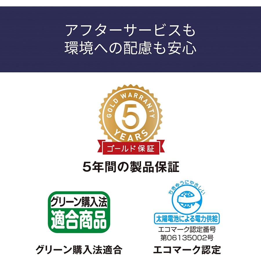 カシオ 本格実務電卓 12桁 日数＆時間計算 ジャストタイプ シルバー JS-20DC-N グリーン購入法適合 エコマーク認定 並行輸入