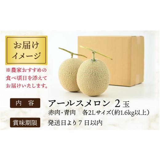 ふるさと納税 福井県 あわら市 アールスメロン 食べ比べ2玉（約1.6kg以上×2玉）青肉、赤肉品種 高級メロン！ ／ マスクメロン 大玉 果物 フルー…