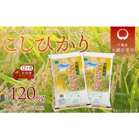 ふるさと納税 ＜12ヶ月定期便＞千葉県産「コシヒカリ」10kg×12ヶ月連続 計120kg A034 千葉県大網白里市