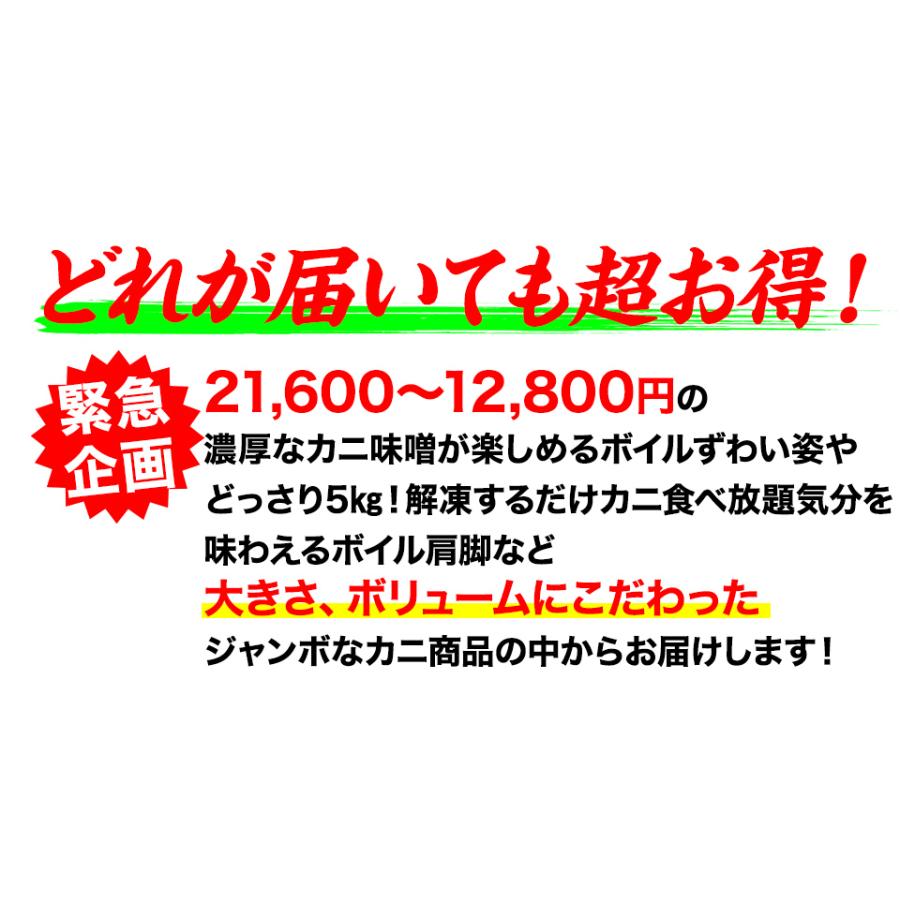 かに カニ 蟹 ズワイガニ 福袋 ボイルかにジャンボ福袋どれでもお得 21,600円〜12,800円のボイルかに6種からお届け