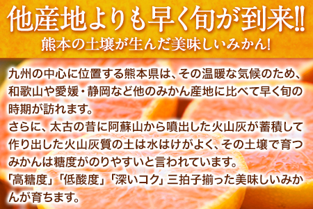 みかん 訳あり 大玉 ミカン 10kg 10キロ 熊本 ちょっと 訳あり 傷 5L～3Lサイズ 約10kg たっぷり 熊本県産 熊本県 期間限定 フルーツ 旬 柑橘 ご家庭用 長洲町 大粒《2024年1月中旬-2月末頃より出荷予定》---fn_notbmikan3_bc1_23_8500_10kg---