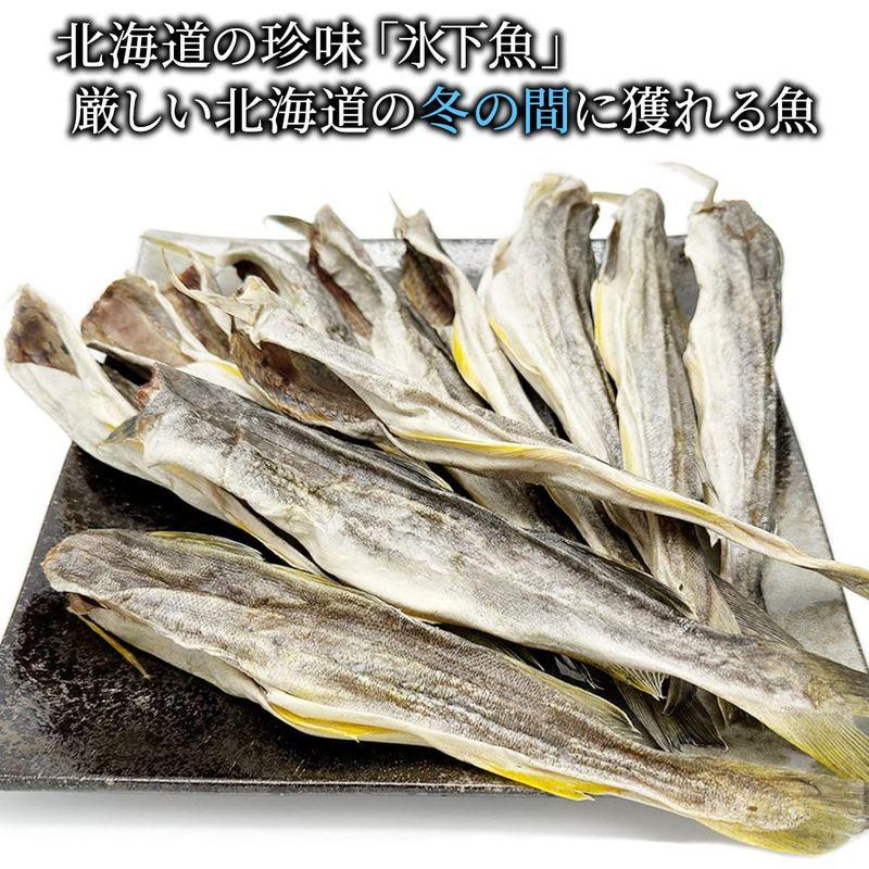 北海道きたれん 北海道産 こまい 氷下魚 コマイ 400g 干し こまい 珍味 10尾前後 かんかい 干物