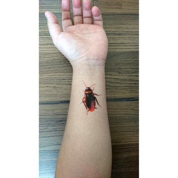 蟑螂 立體款 紋身貼紙 3D 超擬真 萬聖節 惡搞 紋身貼 創意 惡作劇 小強