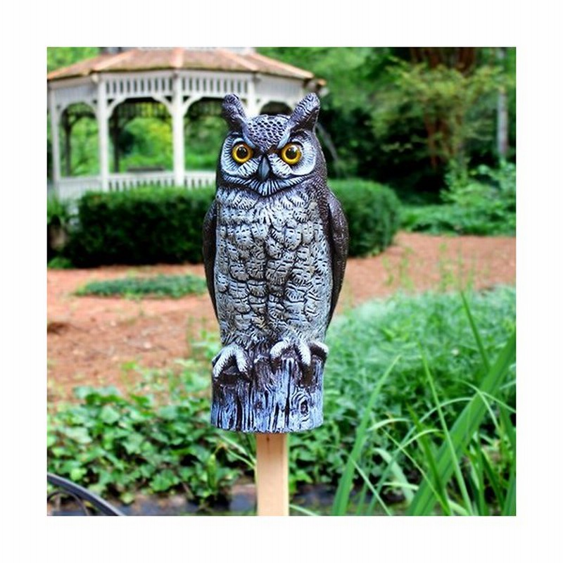 アメリカワシミミズク ブラウン 16インチ 像 置物 ガーデニング 庭 通販 Lineポイント最大0 5 Get Lineショッピング