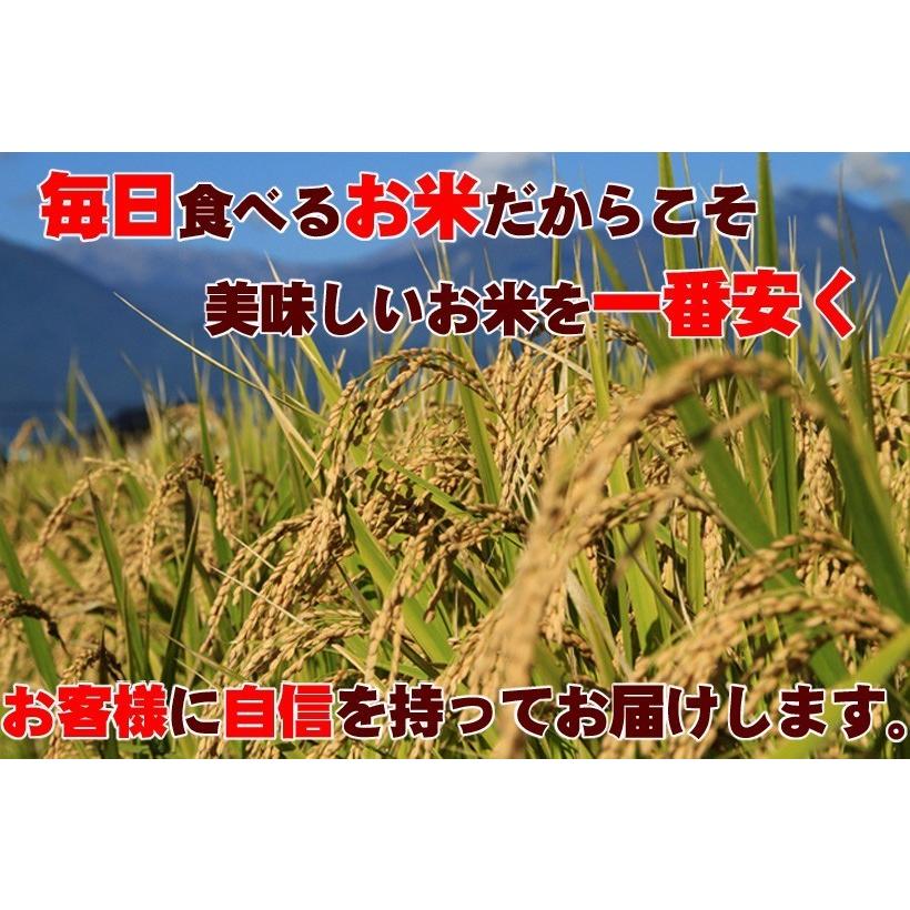 5年産 無洗米 彩のきずな10kg  5kg×2袋 白米 送料無料 埼玉県産