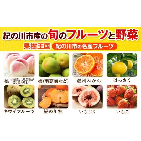 ふるさと納税 野菜 野菜セット 紀の川市の恵み 旬のフルーツ＆野菜セット 計8~10品《お申込み月翌月から出荷開始》和歌山県 .. 和歌山県紀の川市