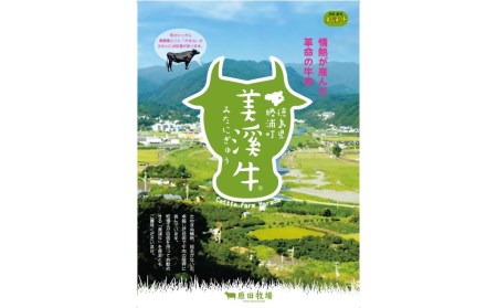 美渓牛 焼肉 おまかせ2種 600g