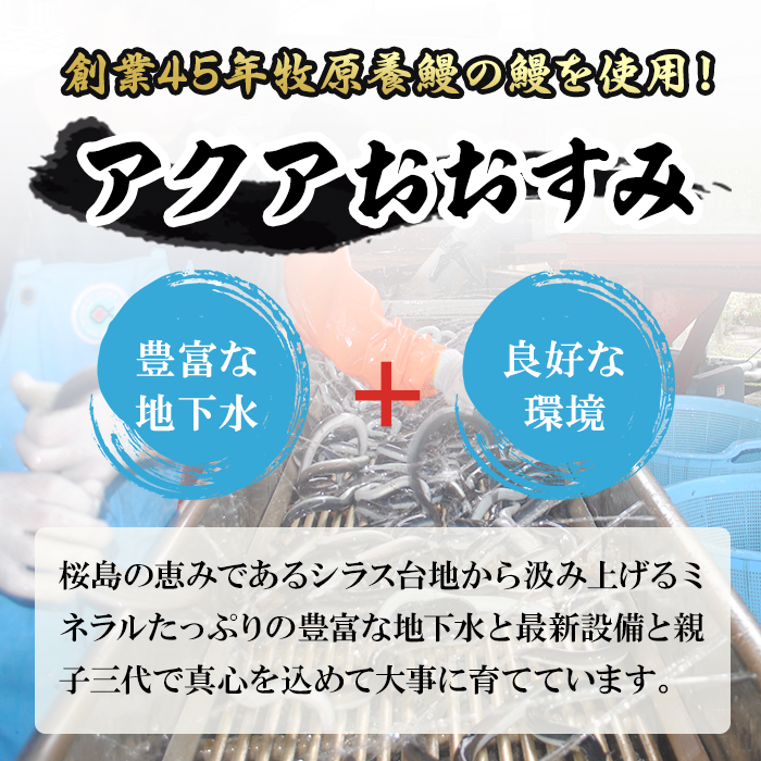 ＜定期便・全5回＞東串良町のうなぎ蒲焼(無頭)(5尾・計約750g・タレ、山椒付×5回)