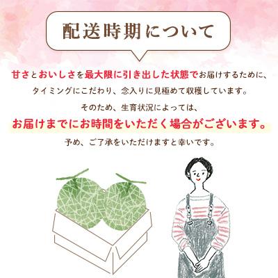 ふるさと納税 富良野市 富良野メロン　秀品　赤肉約2kg×2玉　計約4kg