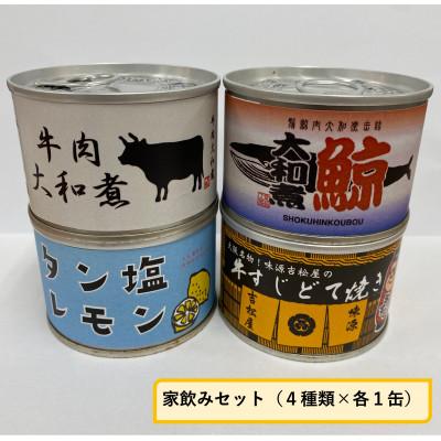 ふるさと納税 富田林市 家飲みセット(4種×各1缶)