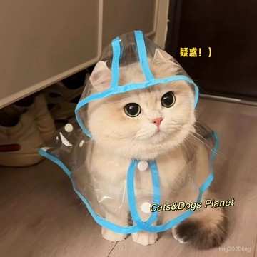 全店免運🎁狗狗雨衣 寵物雨衣 狗雨衣 連帽可愛雨衣 雨天必備 造型可愛 寵物狗雨衣 連帽狗雨衣 寵物外出雨衣