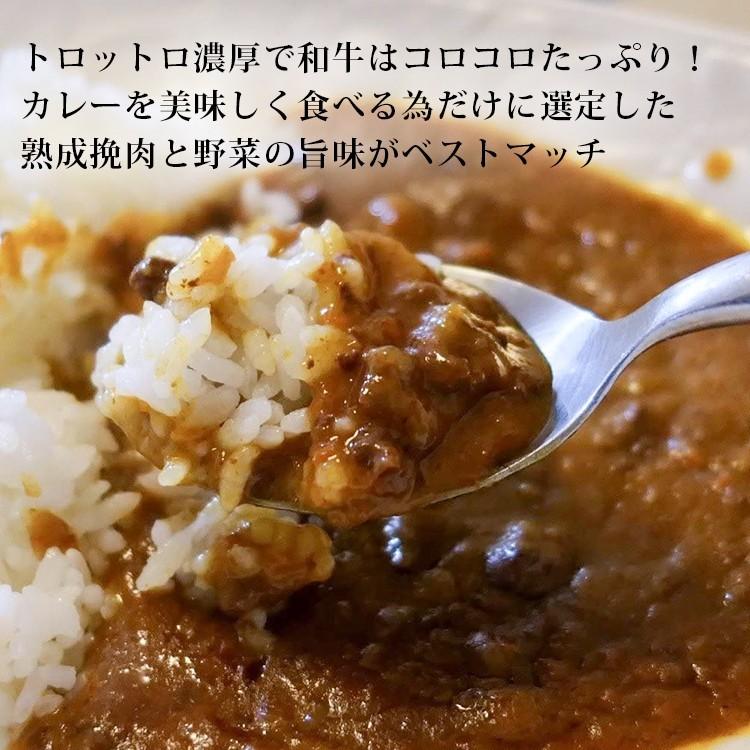 ビーフカレー レトルト 高級 お歳暮 2023 ギフト 格之進 門崎 熟成肉カレー 4個セット 1袋 160g|12月26日まで年末のご挨拶カード付|