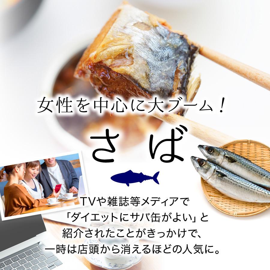 温めるだけ レトルト 魚 鯖 惣菜  セット 選べる 2種 セット さば サバ 鯖缶 サバ缶 調理済 時短料理 簡単 ((常温))