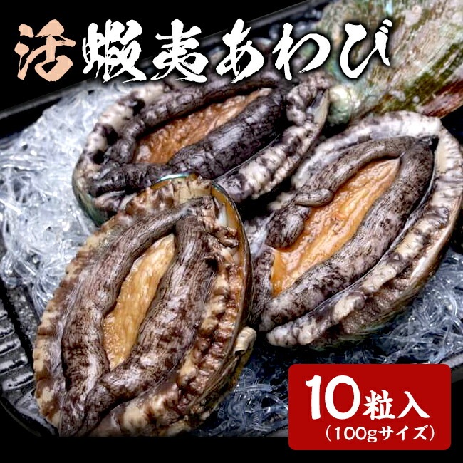 韓国産 養殖活エゾアワビ 約1kg （100gサイズ 10粒入） 活アワビ 養殖 魚介 貝 あわび