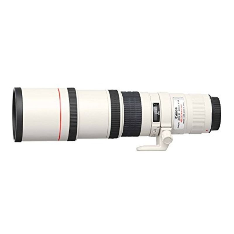 Canon 単焦点超望遠レンズ EF400mm F5.6L USM フルサイズ対応 | LINE