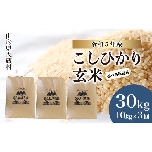 ふるさと納税 山形県 大蔵村 令和5年産 大蔵村 コシヒカリ  30kg定期便 （10kg×3回発送）